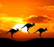 Nana Down Under